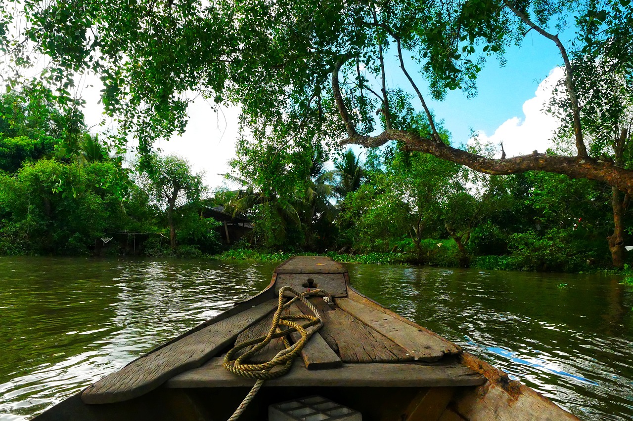 What Role Do Mangrove Forests Play in Marine Biodiversity?